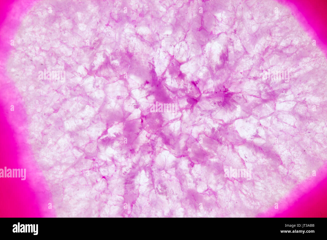 Extreme Makro von rosa Achat Scheibe Mineral, abstrakten Hintergrund Stockfoto