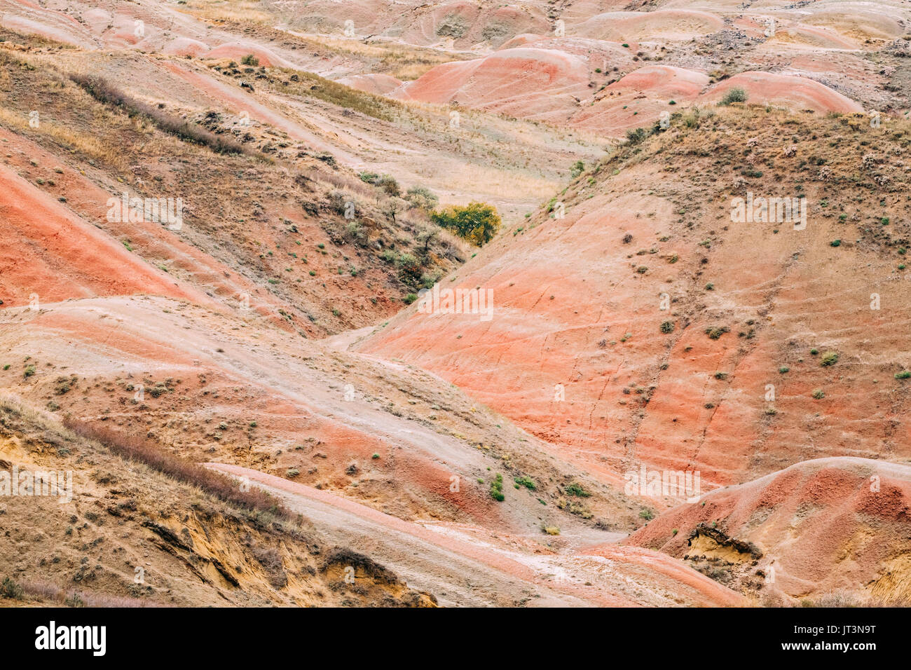 Rote Steine im gareja Wüste, der Region Kachetien, Georgia. Herbst Landschaft von gareja Wüste, gareji Ridge in der Nähe von Sagarejo Gemeinde. Stockfoto