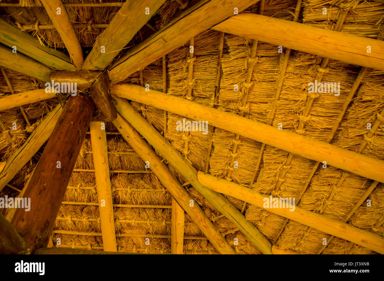 Innere Baum Dach aus Holz, warmen Farben, organischen vintage Gebäudestruktur, Low Angle View Stockfoto