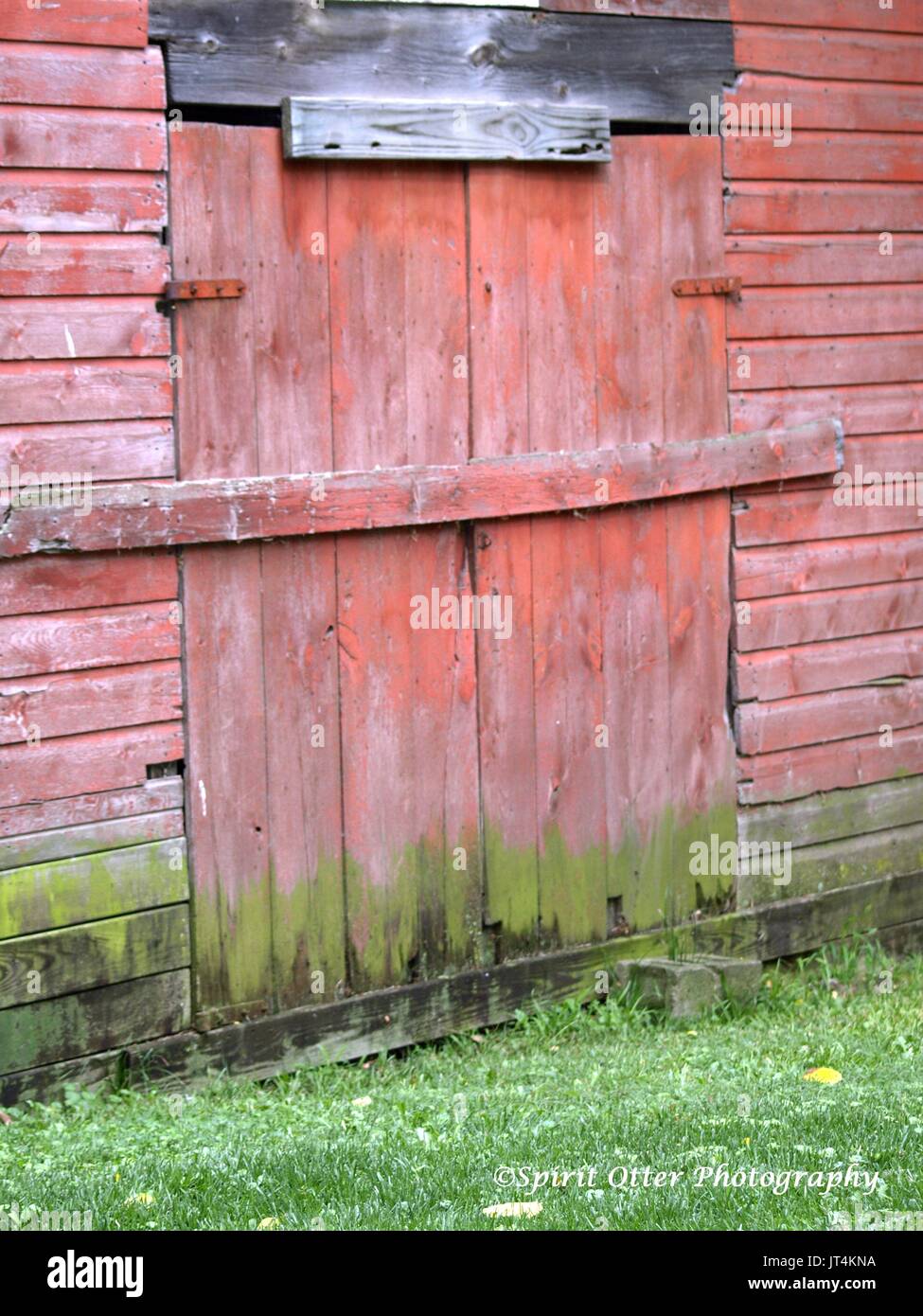 Verwitterte Red Barn Tür Stockfoto