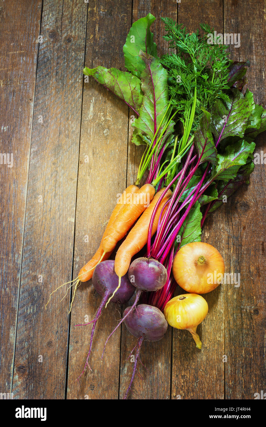 Verschiedene frische junge Gemüse Rüben Karotten, Zwiebeln liegen auf einem Holztisch. rustikalen Stil Stockfoto