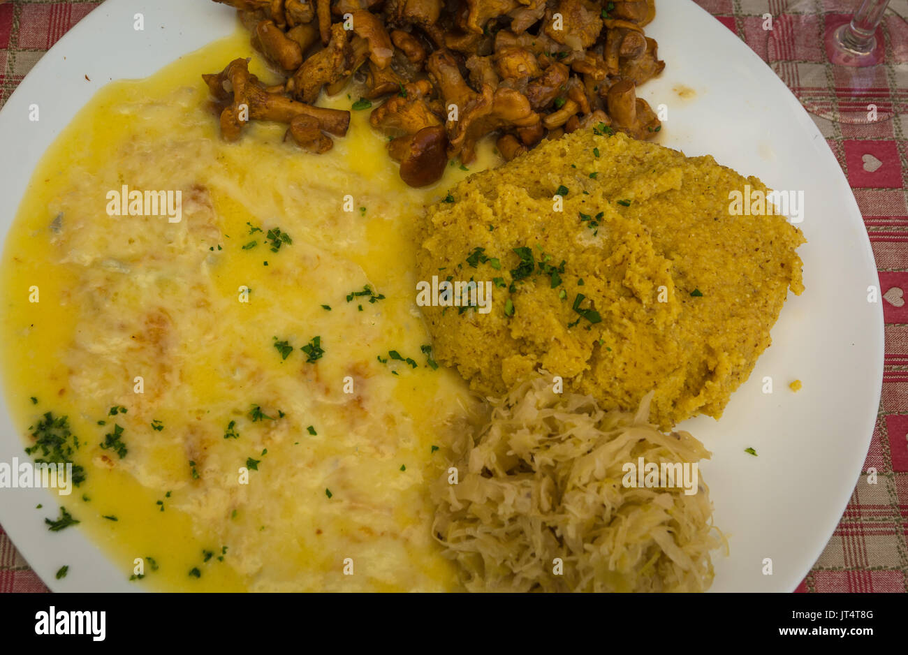 Typische Platte in den Bergen mit Polenta, Pilze und geschmolzenem Käse gekocht. Trentino Alto Adige, Italien Stockfoto