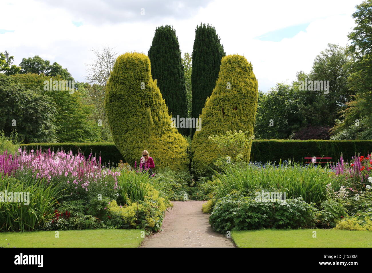 V-förmige Hecken, Cawdor Castle Gärten Stockfoto
