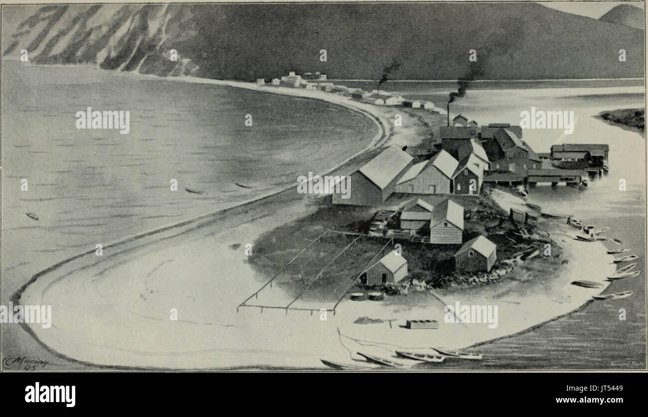 "Alaska, seine Geschichte und Ressourcen, gold Fields, Routen und Landschaft" (1899) Stockfoto