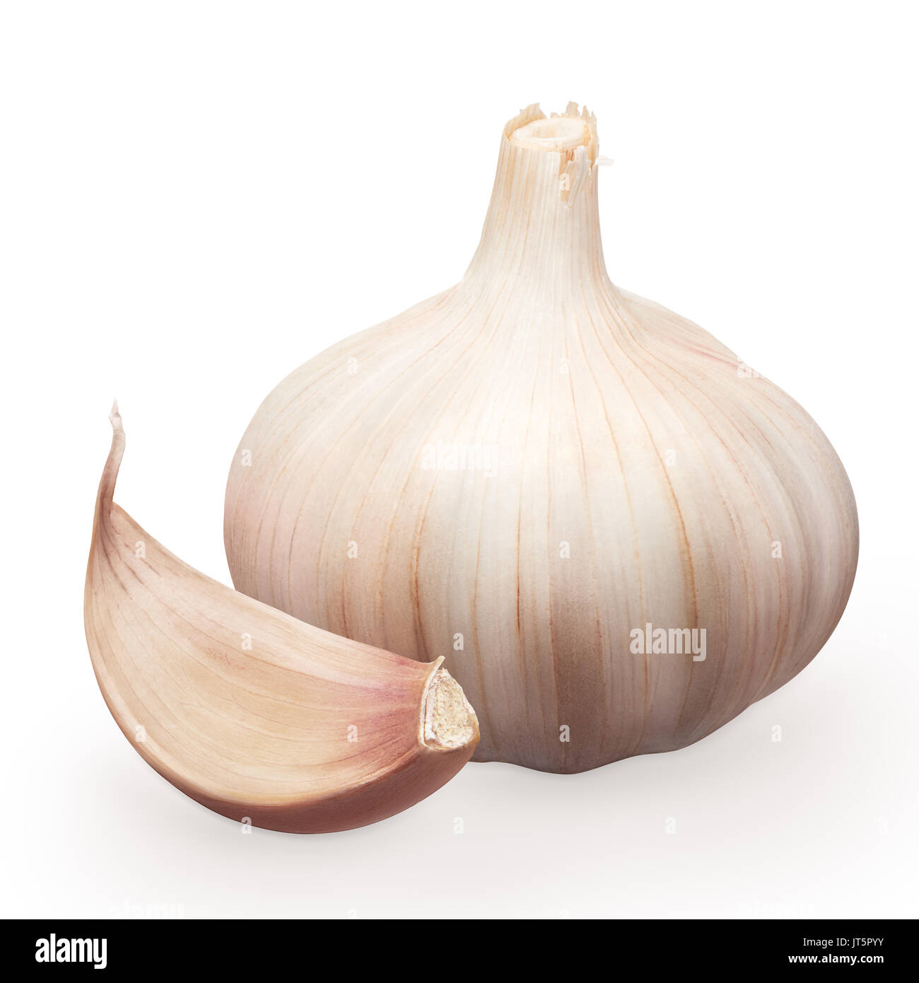 Ganz frischen Knoblauch mit Nelke auf weißem Hintergrund Stockfoto