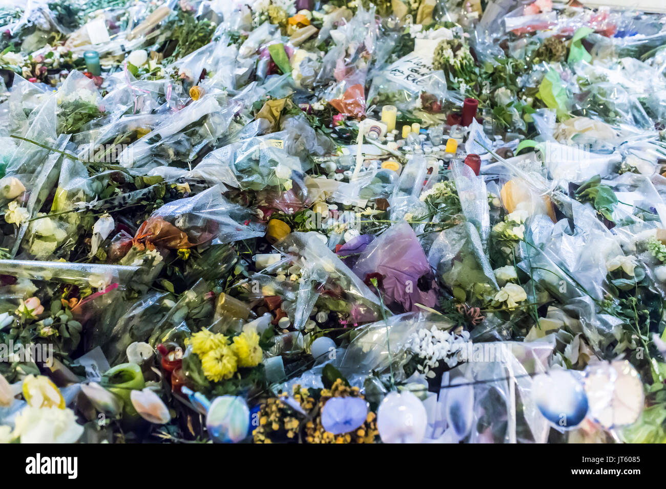 Teppich von Blumen. Spontane Hommage an die Opfer der Terroranschläge in Paris, den 13. November 2015. Stockfoto