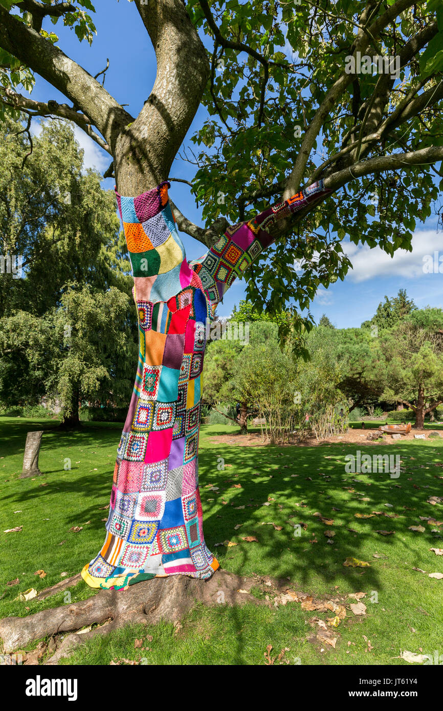 Wickelte gestrickt Baum im Park, Abergavenny, Wales, Großbritannien Stockfoto