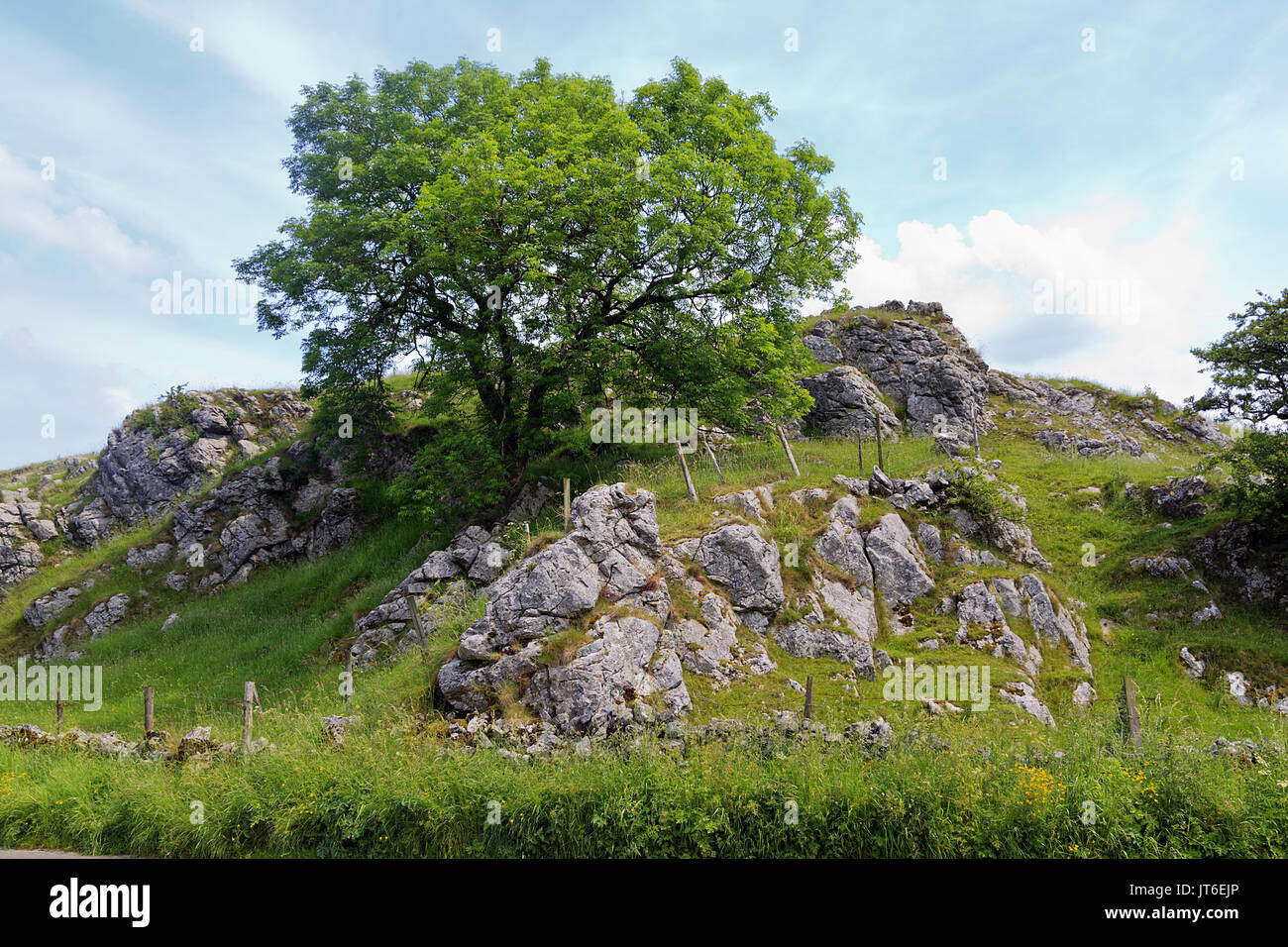 Felsvorsprung in der Derbyshire Dales Stockfoto