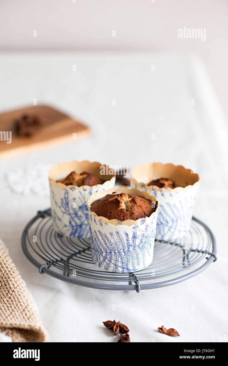 Schwamm muffin Kuchen Kuchen Fällen Stockfoto