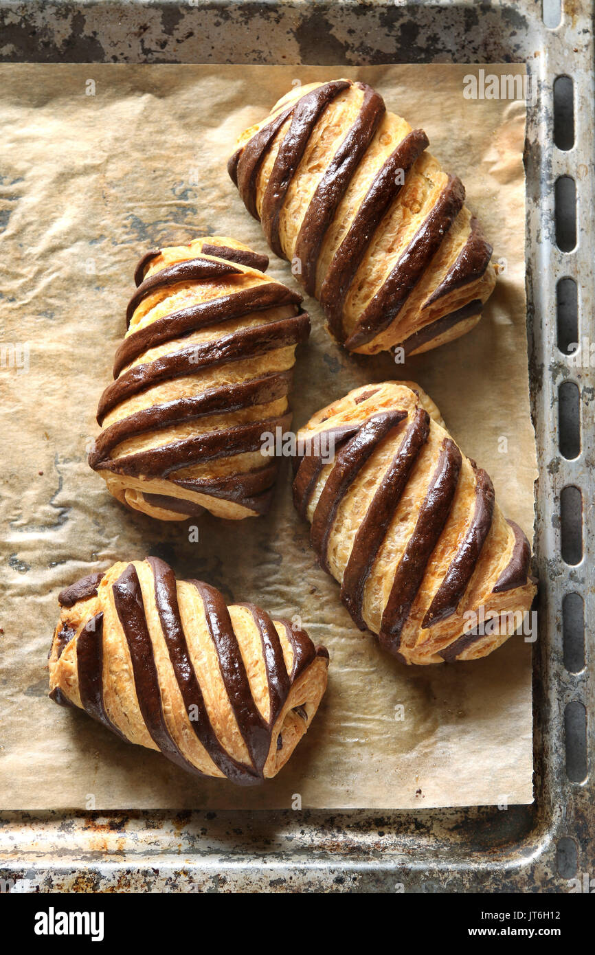 Frisch gebackene bicolor Pain au Chocolat auf einem Backblech. Top View Stockfoto