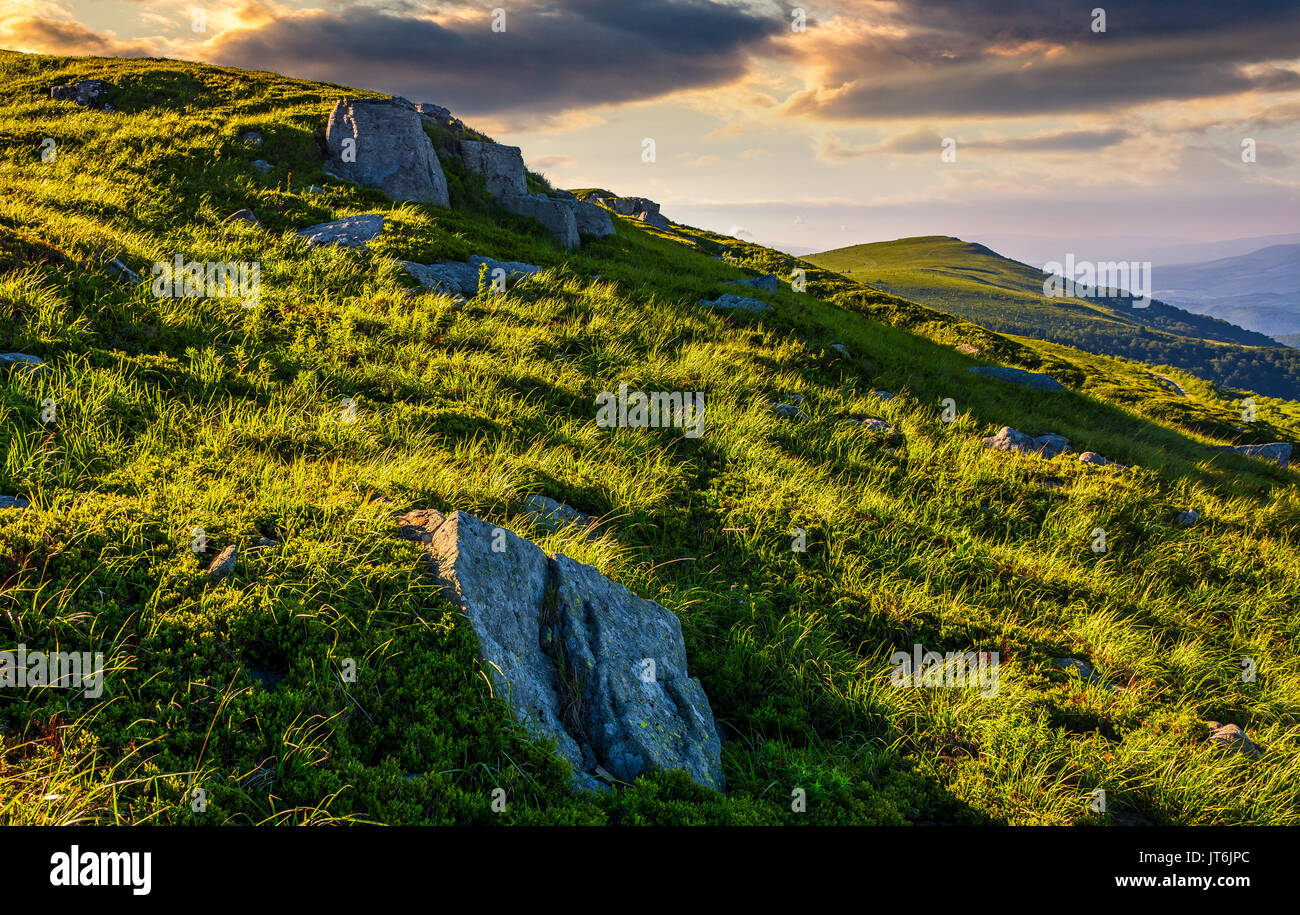 Gras Wiese mit Felsbrocken am Berghang bei Sonnenaufgang. schönen bergigen Landschaft Hintergrund Stockfoto