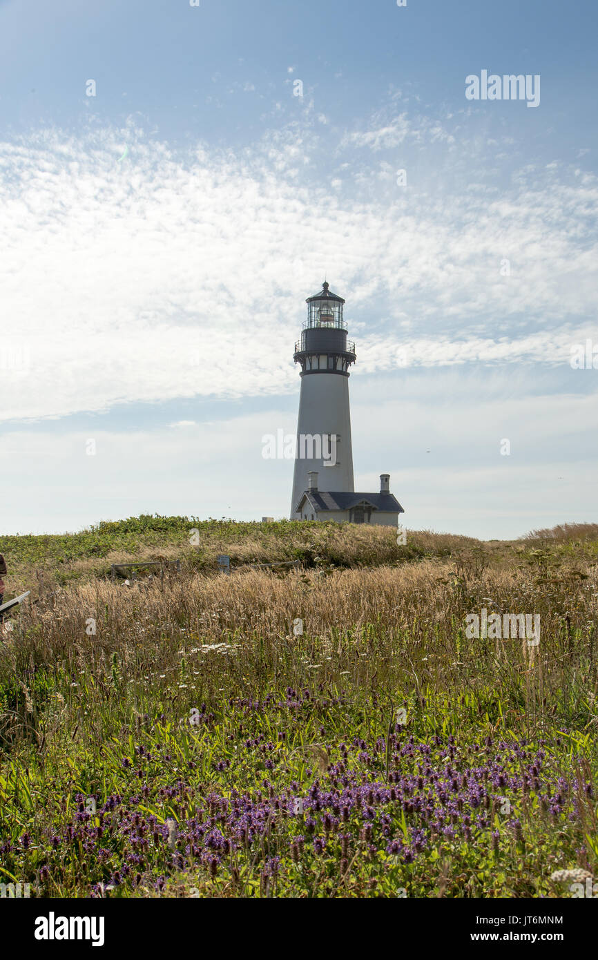 Yaquina Head lighthouse Stockfoto