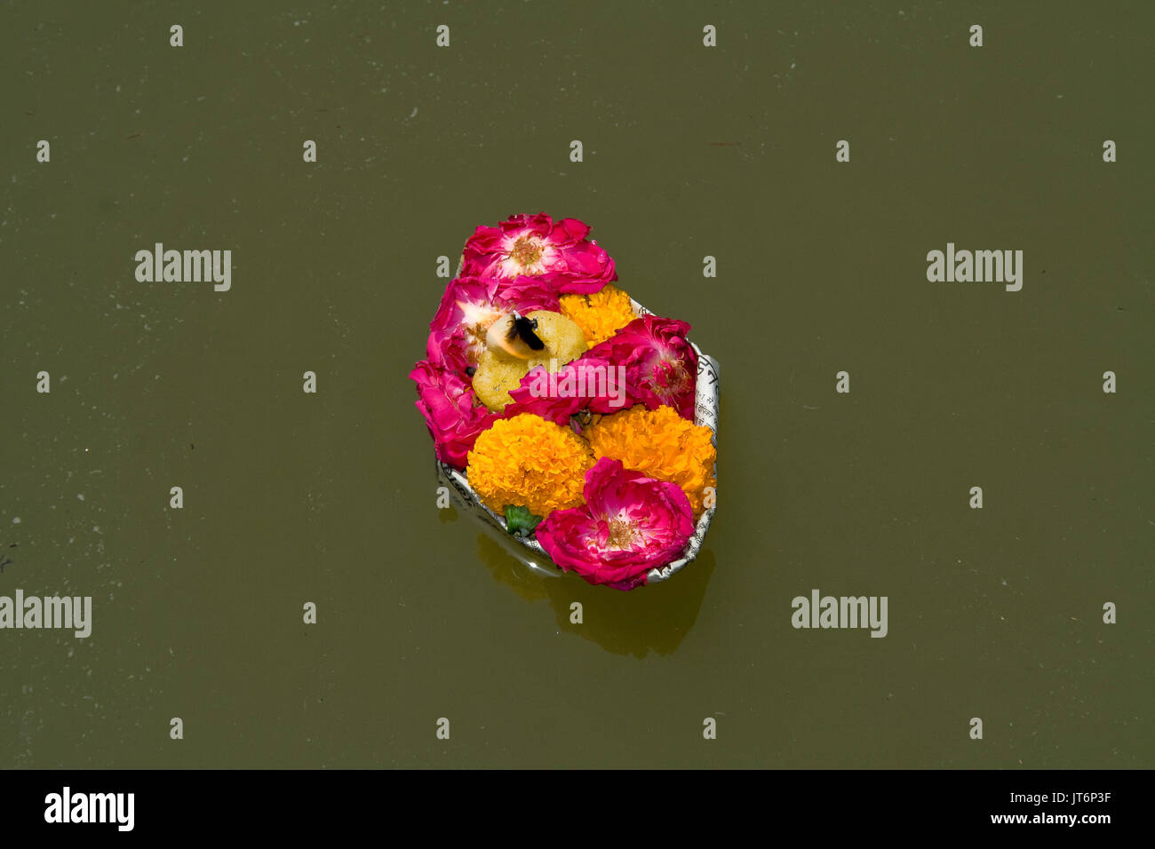 Angebot von Blumen links schwimmt auf Wasser in Indien nach der Durchführung Pooja Stockfoto
