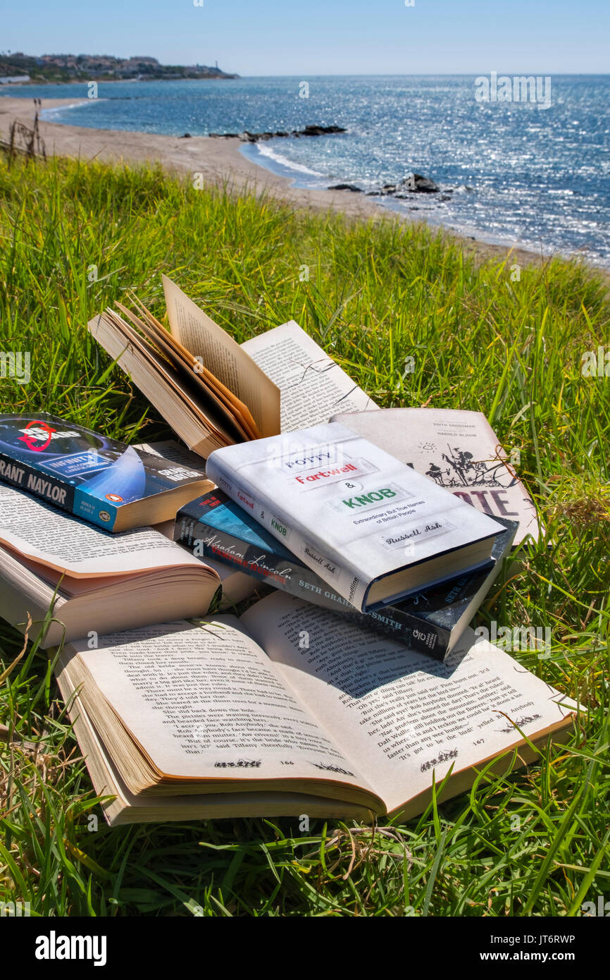 Viele Bücher am Strand. Costa del Sol, Málaga Provinz. Andalusien, Süd Spanien Europa Stockfoto