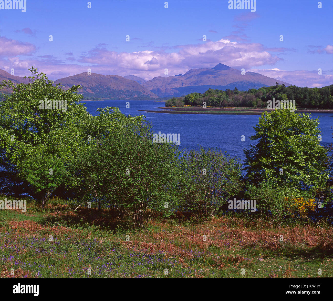 Ein bunter Blick auf Ben Cruachan und Loch Etive, Argyll Stockfoto