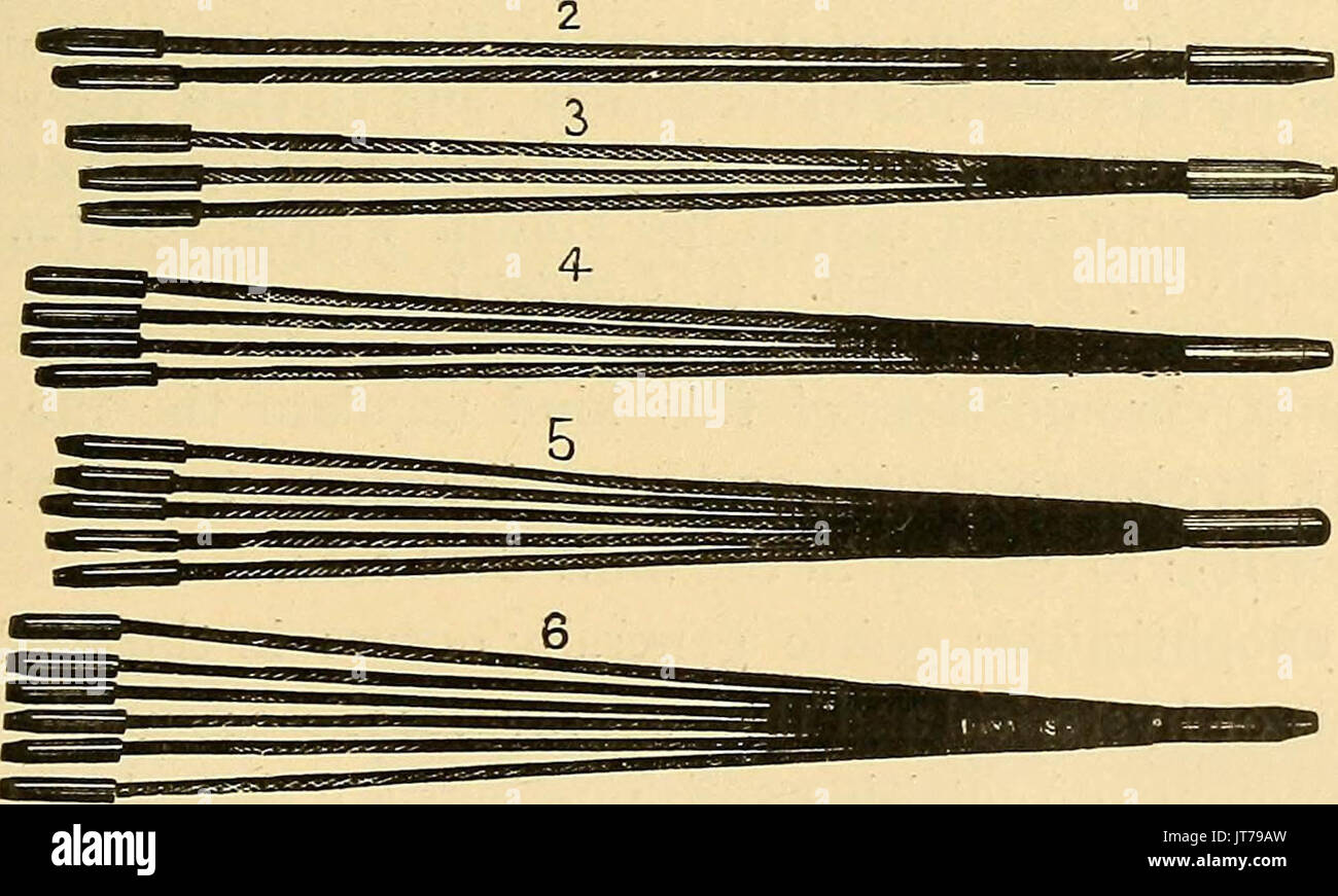 "Die Behandlung von Krankheit durch elektrische Ströme: eine Hand - das Buch der Einfachen Anweisungen für den Arzt für Allgemeinmedizin" (1897) Stockfoto