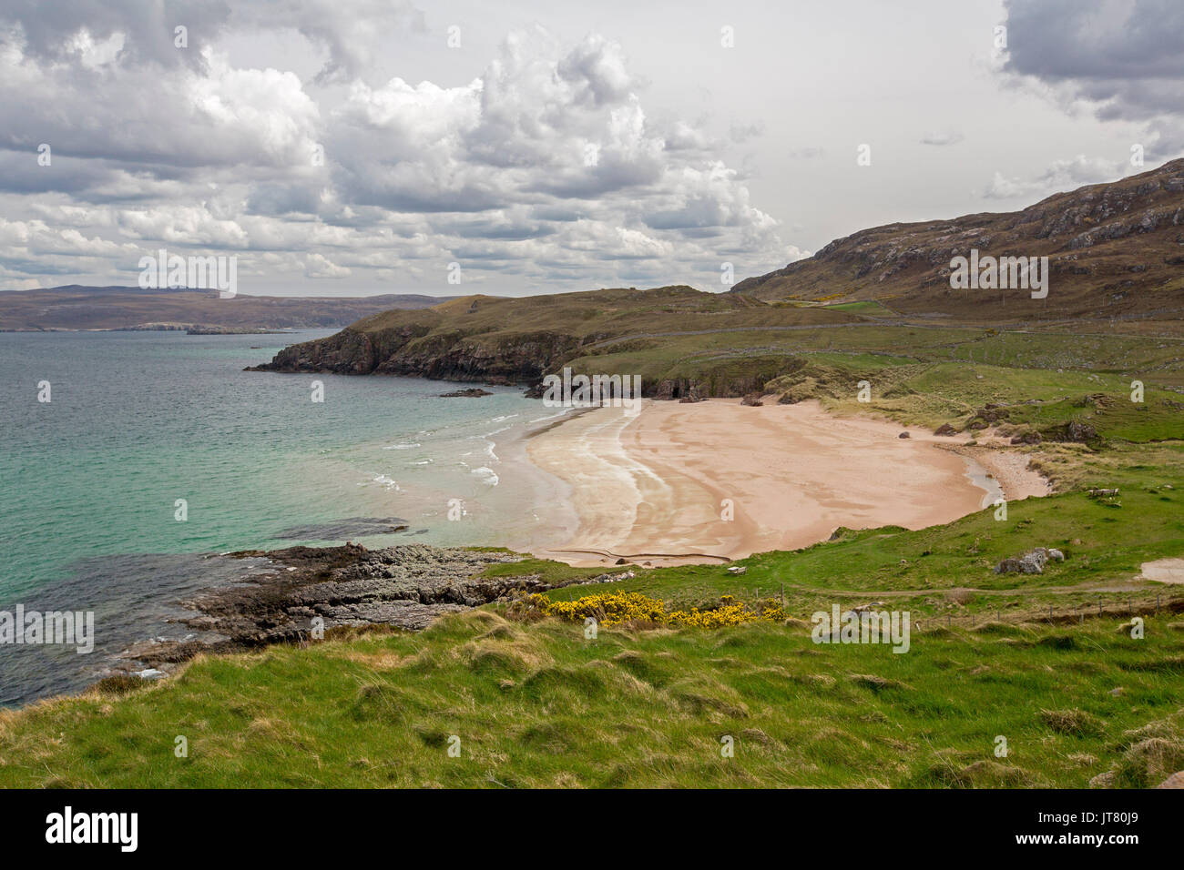Küstenlandschaft mit Sandstrand in abgelegenen felsigen Bucht mit Vordergrund mit goldenen Blumen der Ginster unter blauem Himmel in der Nähe von Durness, Schottland Stockfoto
