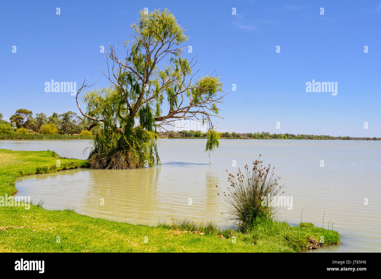 Küste des Lake Cullulleraine in der Nähe von Mildura, Victoria, Australien Stockfoto