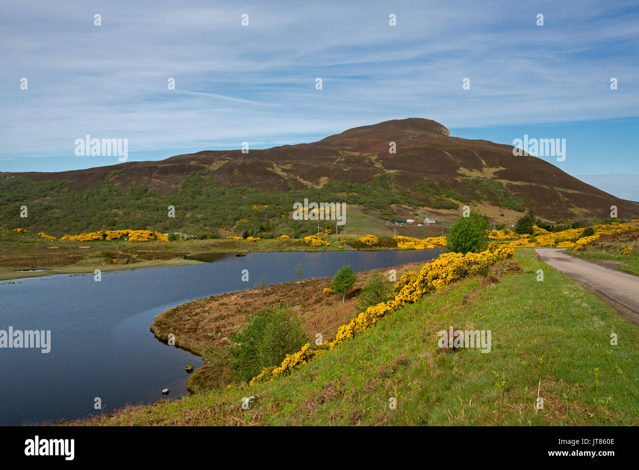 Atemberaubende Landschaft in den schottischen Highlands mit ruhigen, blauen Wasser des Loch mit goldenen Blumen der Ginster am Fuß der Berge gesäumt unter blauem Himmel Stockfoto
