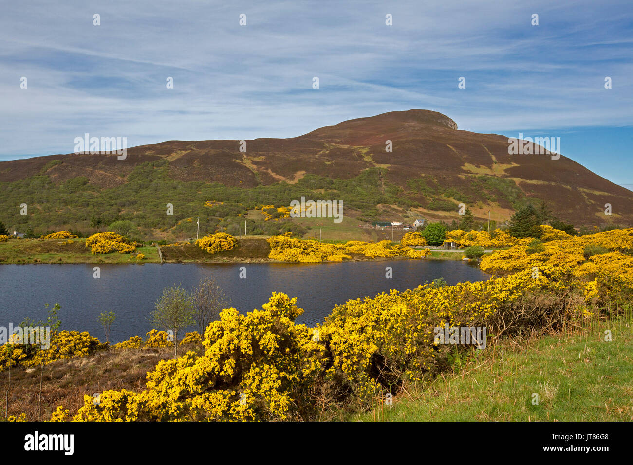 Atemberaubende Landschaft in den schottischen Highlands mit ruhigen, blauen Wasser des Loch mit goldenen Blumen der Ginster am Fuß der Berge gesäumt unter blauem Himmel Stockfoto