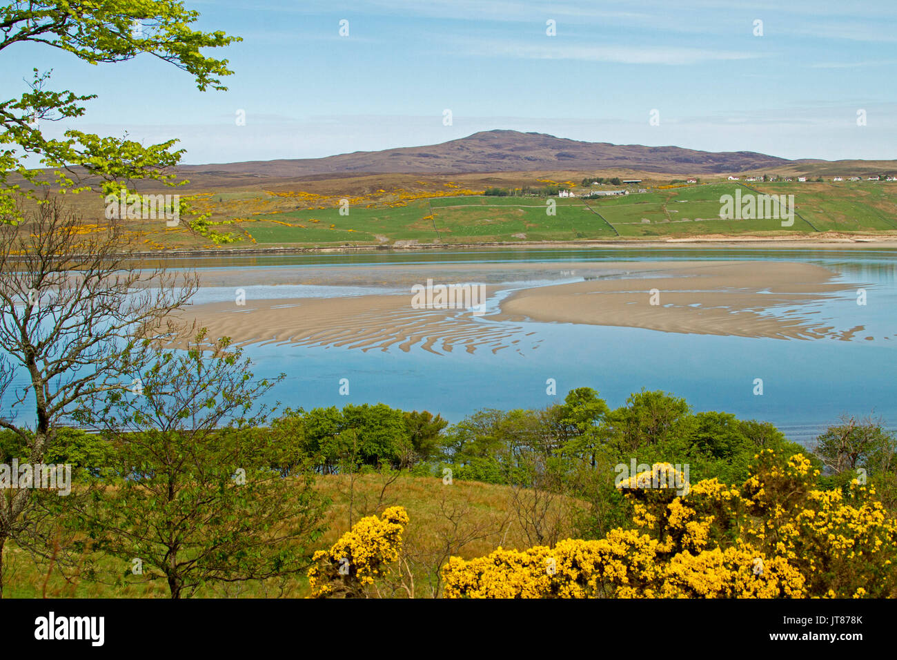 Bunte Landschaft der schottischen Highlands mit blauen Gewässern des Loch Eriboll gesäumt von Emerald Felder, Ackerland, goldenen Blumen der Ginster & die Berge Stockfoto