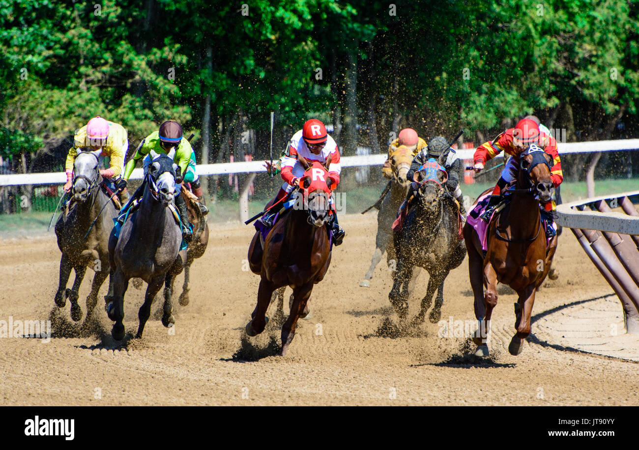 Pferde erreichen die Ausdehnung an Saratoga Race Track in Saratoga Springs, New York. Stockfoto