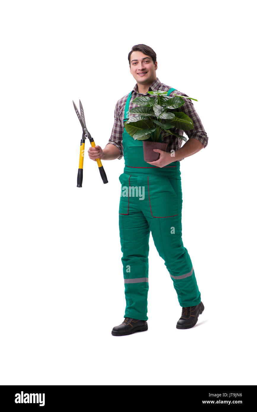 Junger Mann Gärtner isoliert auf weiss Stockfoto