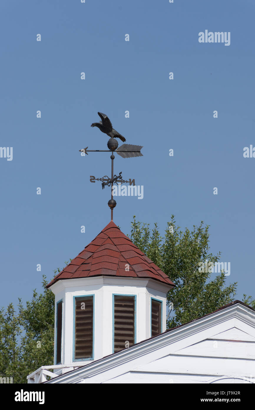Ein Black Metal Wetterfahne mit einem fliegenden Vogel auf einem Turm mit rotem Dach. Der Turm befindet sich auf einem ländlichen Scheune. Stockfoto