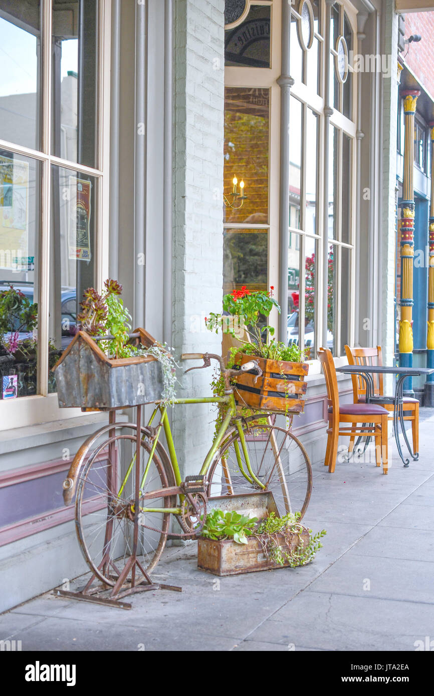 Eine Art Installation von ein rostiges Fahrrad mit Blumen und Sukkulenten wachsen aus dem Korb in der romantischen Innenstadt von Wäldern in der Nähe des Sacramento Airport. Stockfoto