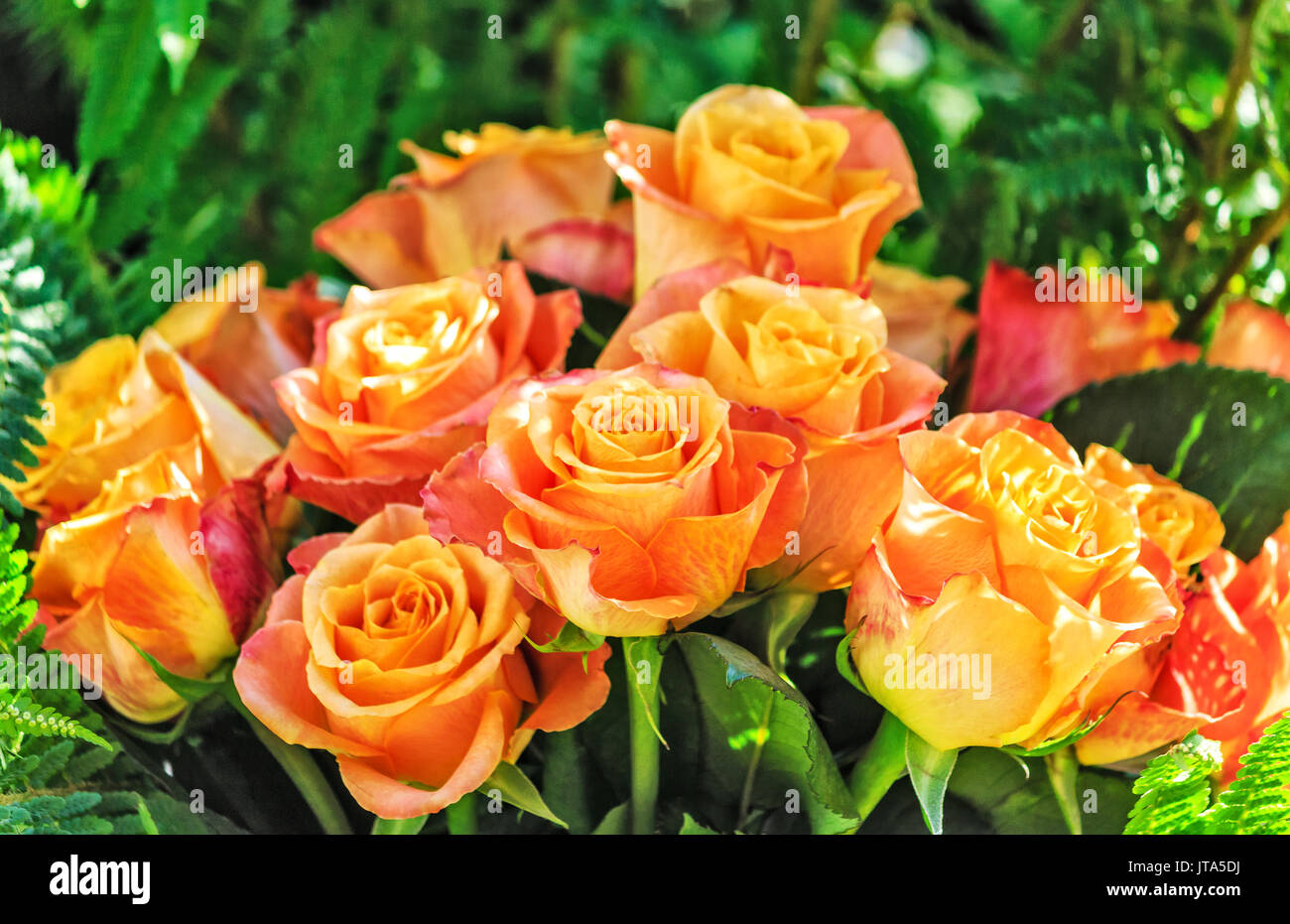 Blumenstrauß aus Gelb und Orange nostalgische Eden Rose Stockfoto
