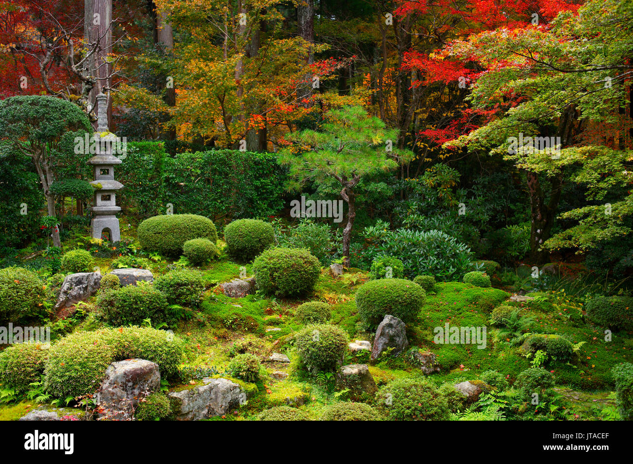 Zen Garten im Herbst, sanzen-in Tempel, Kyoto, Japan, Asien Stockfoto