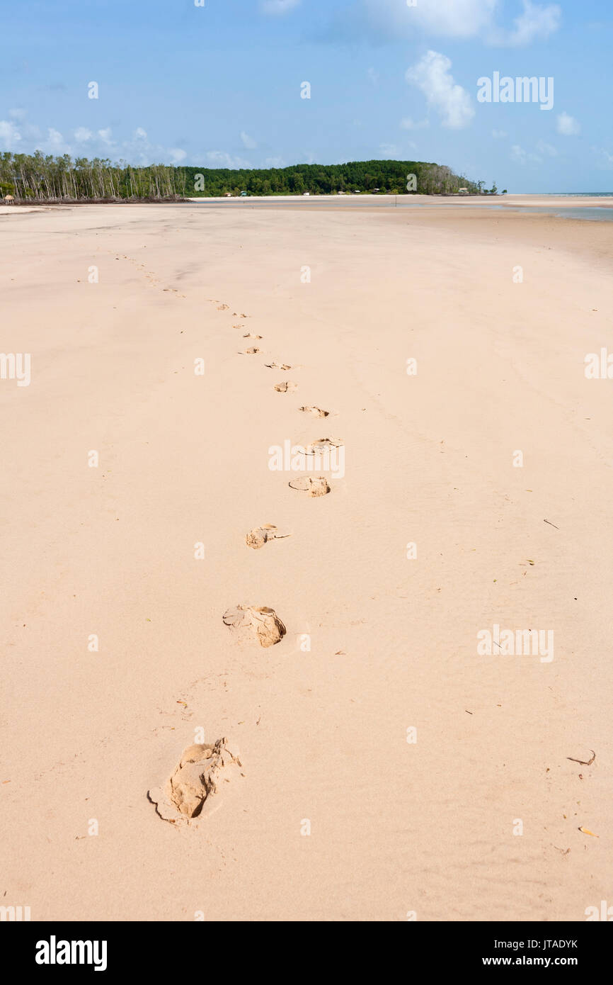 Strand auf Marano Insel im brasilianischen Amazonasgebiet, Brasilien Stockfoto