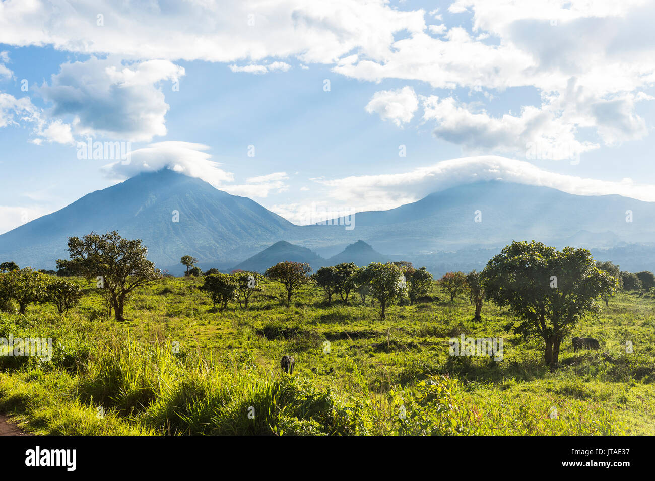 Die vulkanische Bergkette der Virunga Nationalpark, UNESCO-Weltkulturerbe, Demokratische Republik Kongo, Afrika Stockfoto