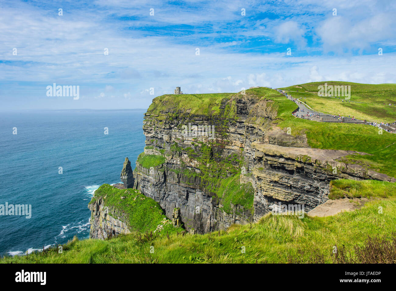 Die Klippen von Moher, die Burren, County Clare, Munster, Republik Irland, Europa Stockfoto