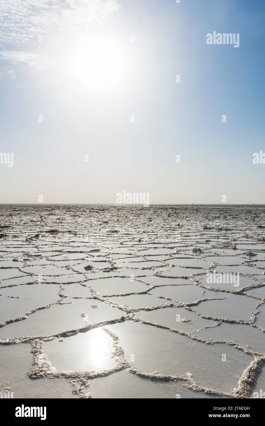 Reines Salz in einem Salzsee, Danakil Depression, Äthiopien, Afrika Stockfoto