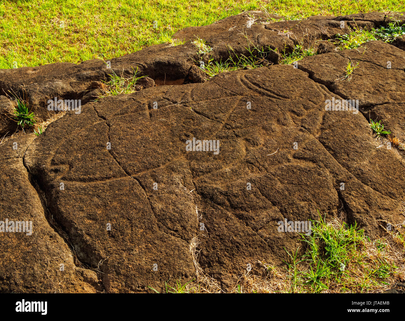 Felszeichnungen in Papa Vaka, Rapa Nui Nationalpark, UNESCO-Weltkulturerbe, Easter Island, Chile Stockfoto