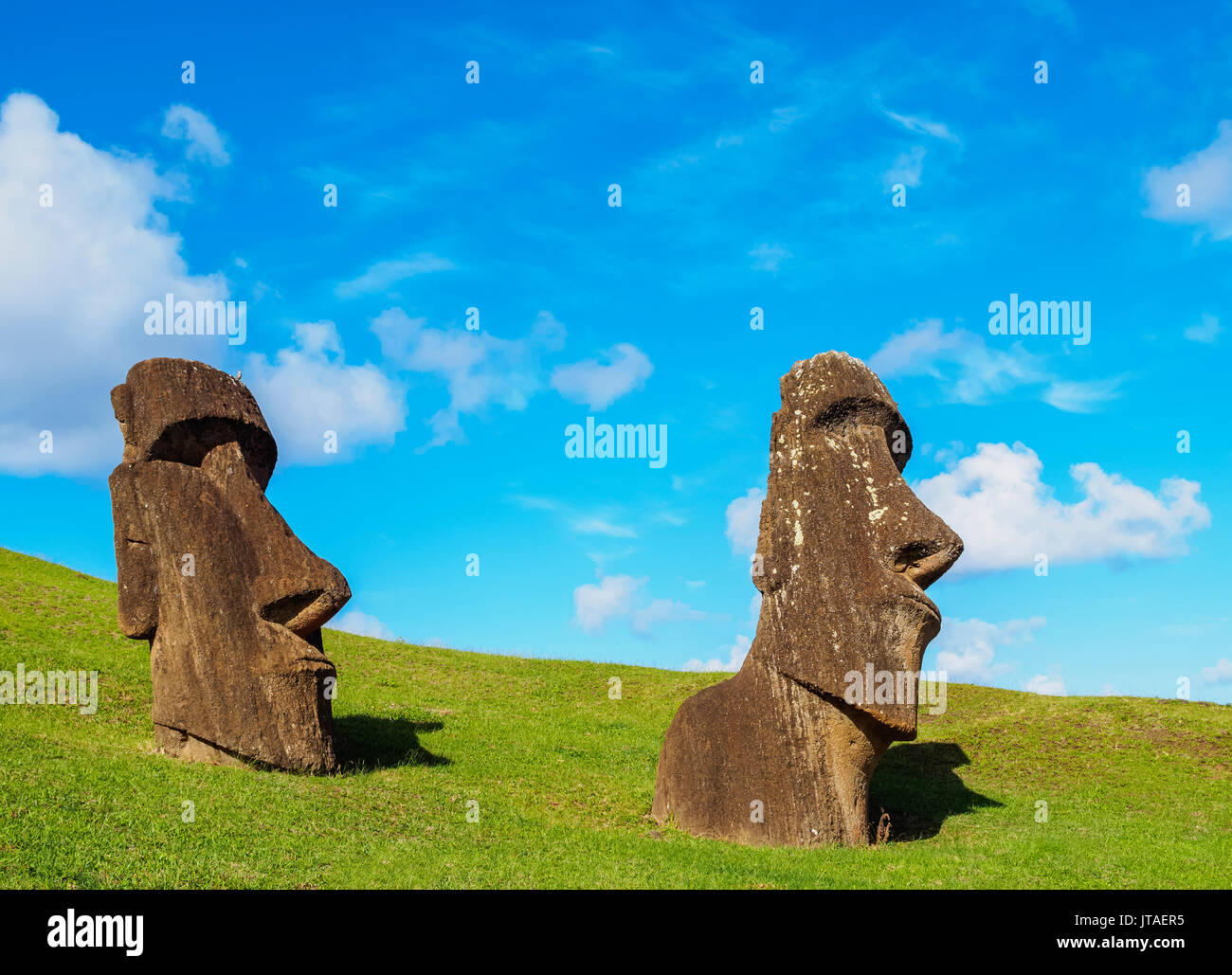 Moais am Steinbruch am Hang des Rano Raraku Vulkans, Nationalpark Rapa Nui, UNESCO, Osterinsel, Chile Stockfoto