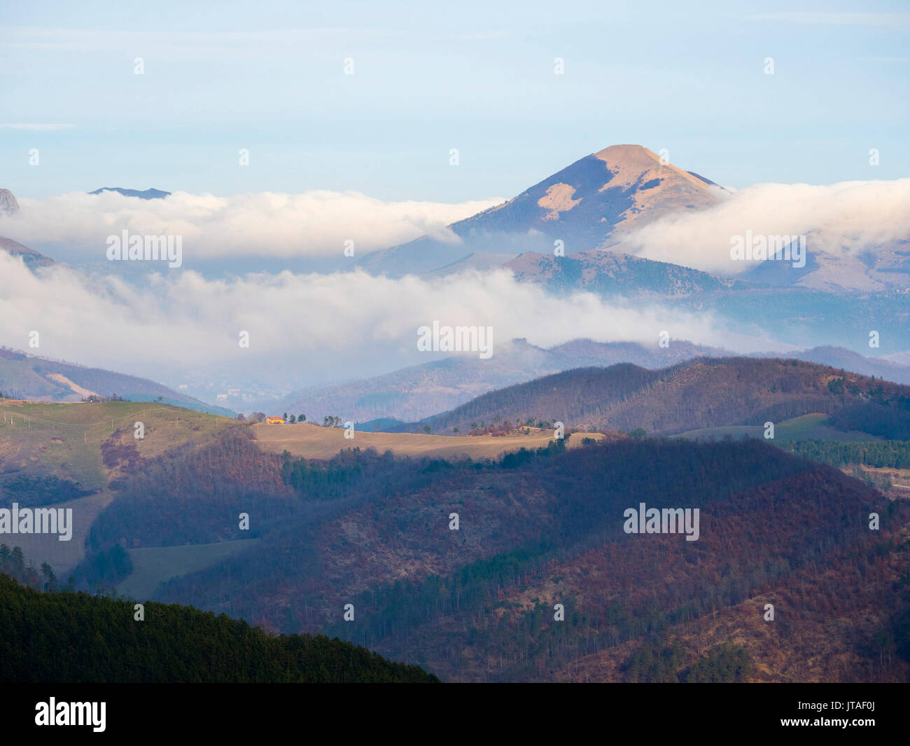 Wald im Winter, Gubbio, Umbrien, Italien, Europa Stockfoto