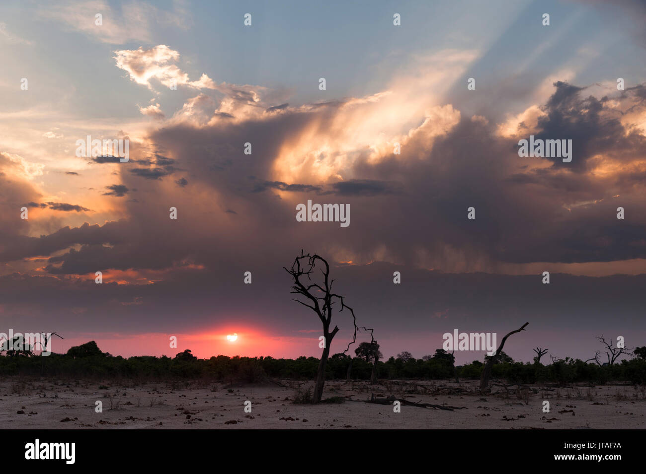 Savuti Marsh bei Sonnenuntergang, Botswana, Afrika Stockfoto