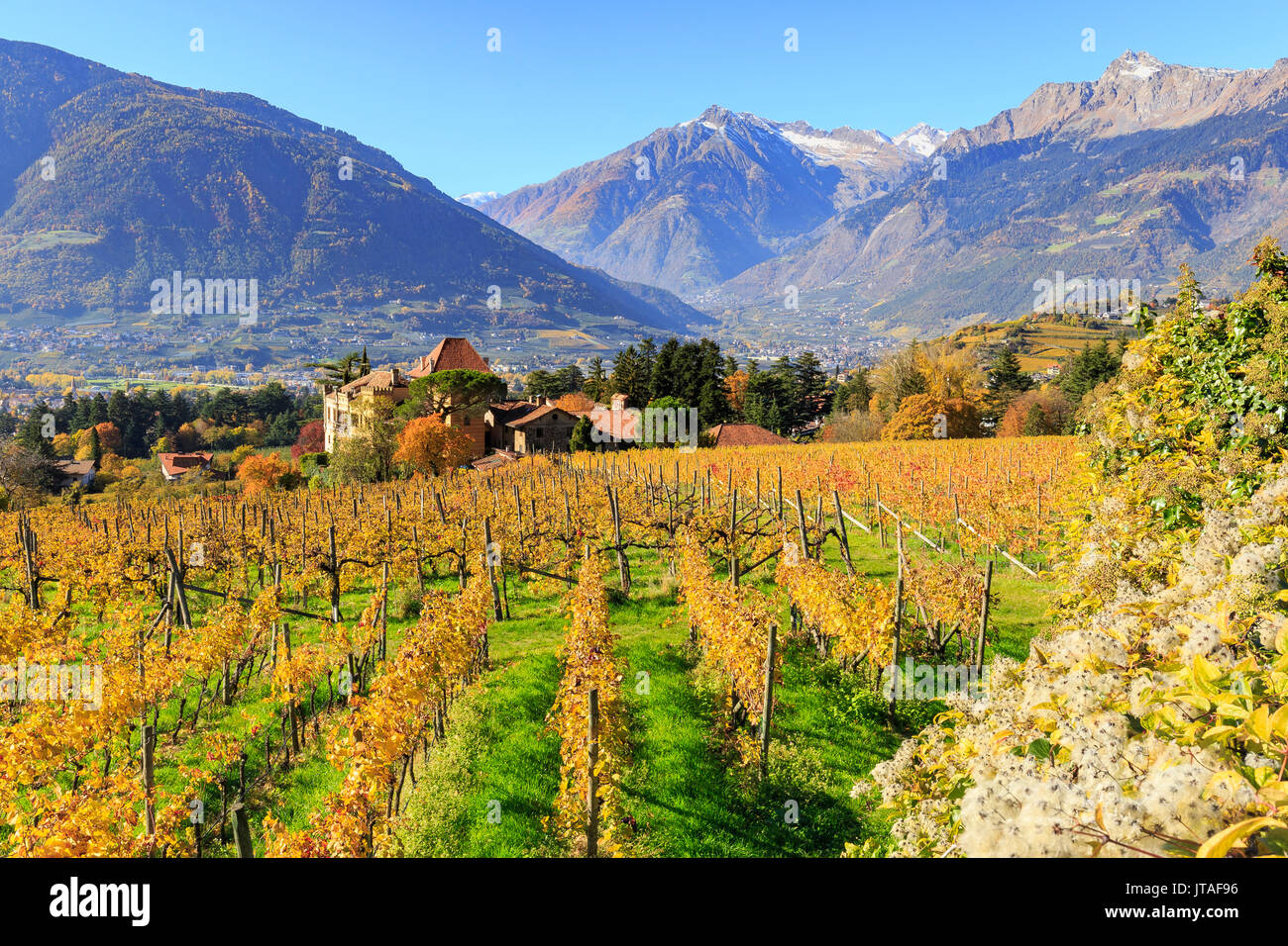 Anzeigen von ramez Schloss, umgeben von Weinbergen, Ramez Schloss, Meran, Vinschgau, Alto Adige-Sudtirol, Italien, Europa Stockfoto