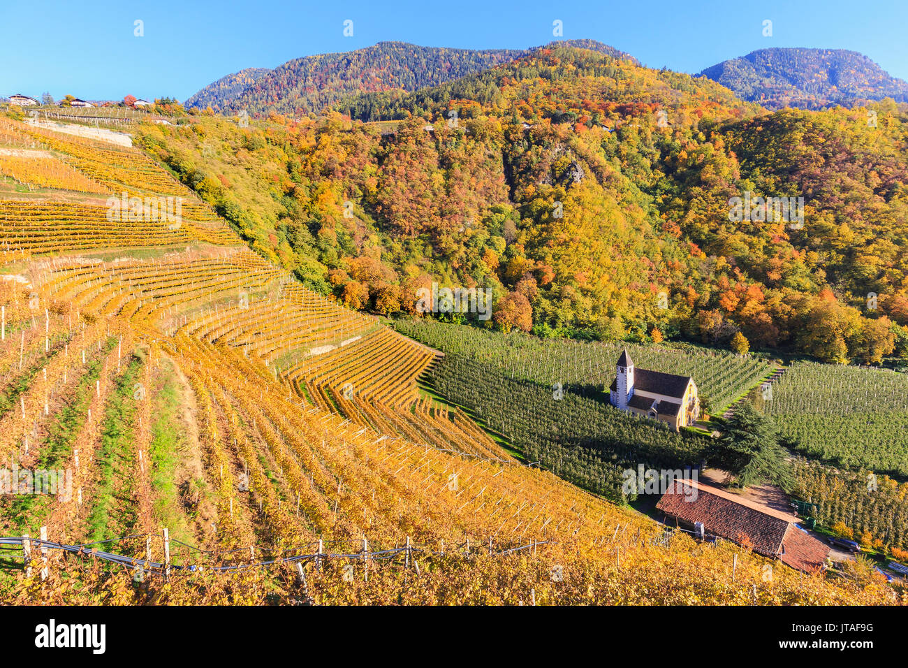 Blick auf St. Valentin Kirche im Herbst Farben umgeben, Meran, Vinschgau, Alto Adige-Sudtirol, Italien, Europa Stockfoto