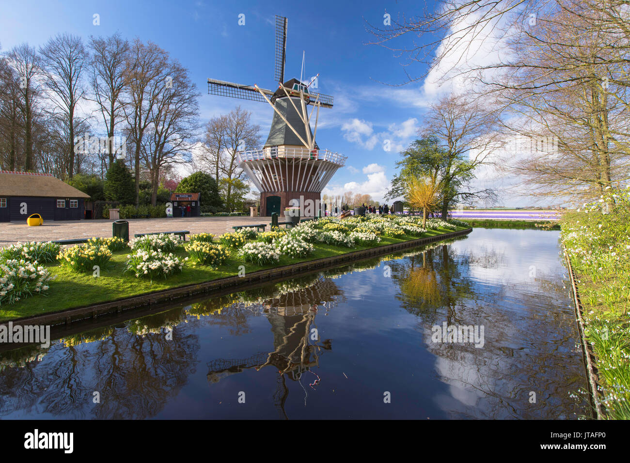 Windmühle bei Keukenhof Lisse, Niederlande, Europa Stockfoto