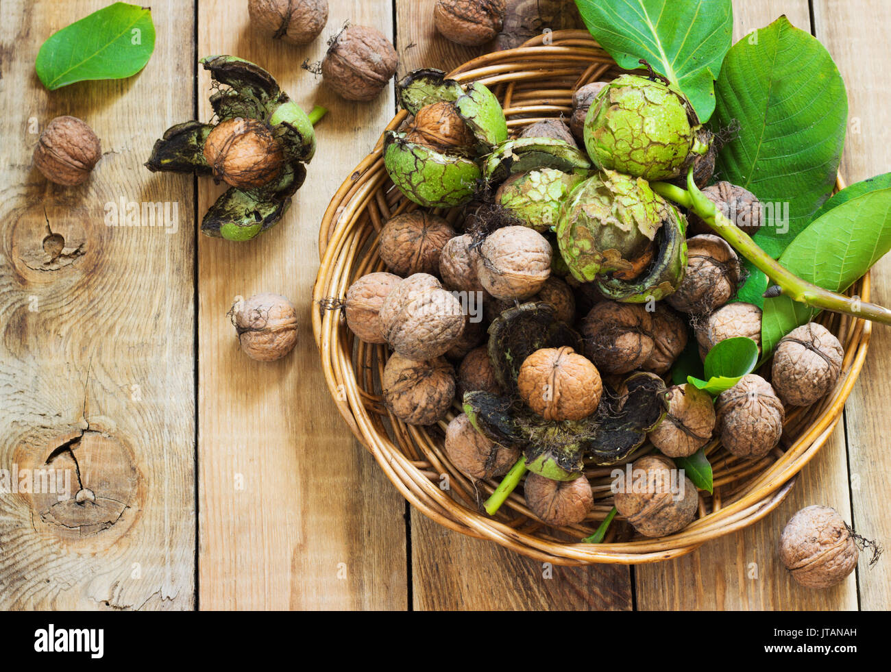 Walnüsse in der grünen Schalen mit Blättern, die auf einer hölzernen Hintergrund Stockfoto