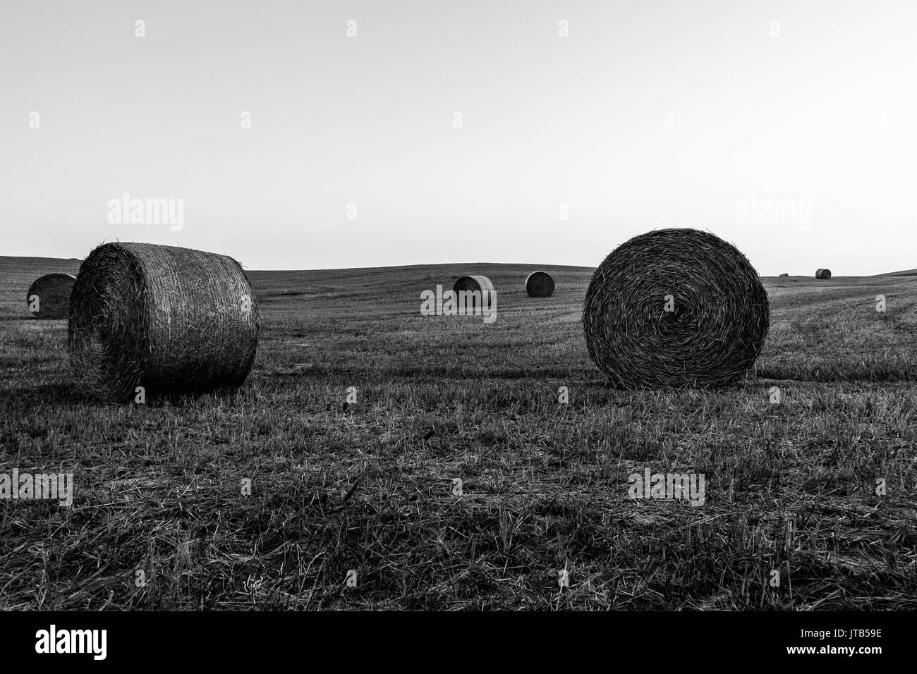 Ein Hügel mit haybales sowohl in den Vordergrund und den Hintergrund, die unter einem leeren, hellen Himmel Stockfoto