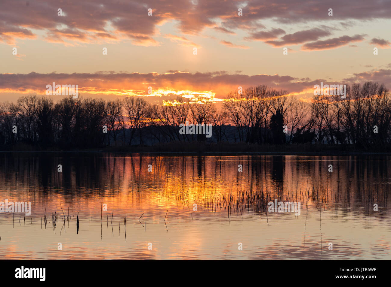 Sonnenuntergang am See, mit symmetrischen Spiegelungen der Bäume Silhouetten und Wolken auf dem Wasser Stockfoto