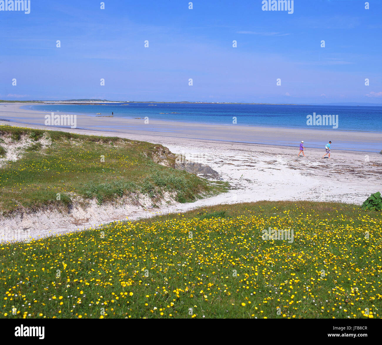 Schöne Strände in der Nähe von Crossapoll, auf der schönen Insel Tiree, Innere Hebriden, Schottland Stockfoto