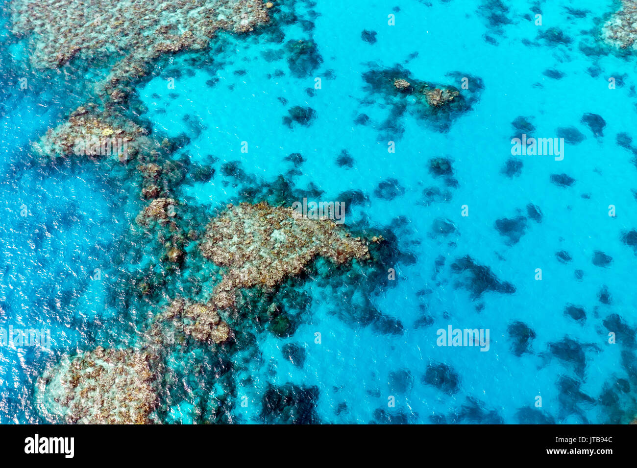 Luftaufnahme von Hastings Reef, Cairns, Queensland, Australien Stockfoto