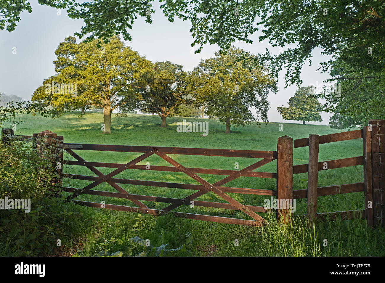 Fünf bar Gate und Weide am Großen Walsingham Norfolk im Frühjahr Stockfoto