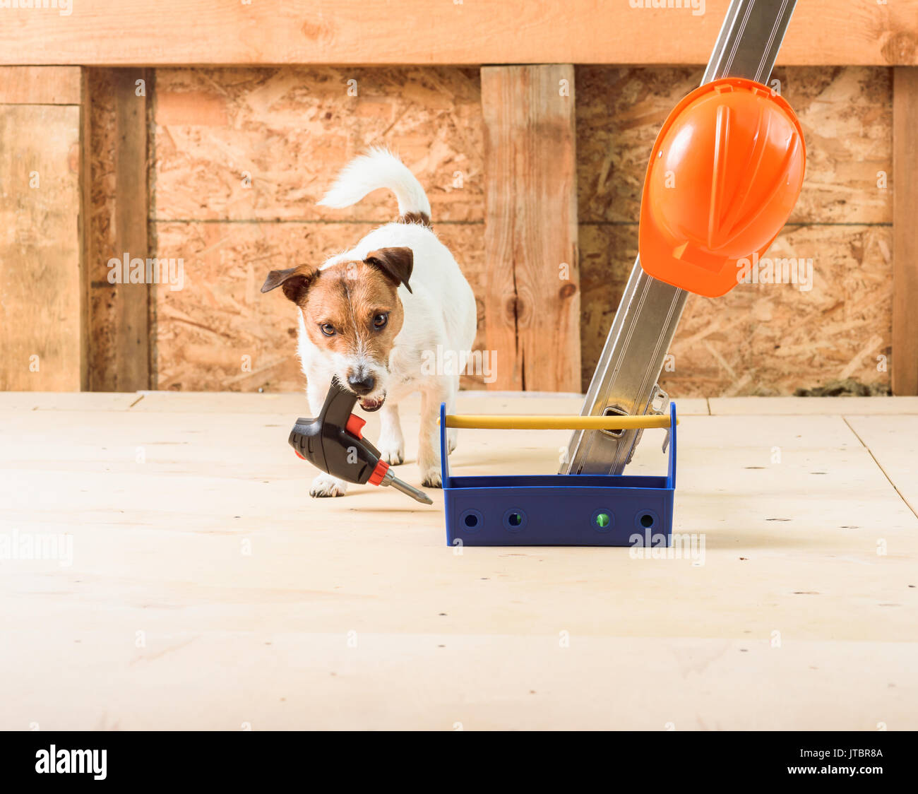 Lustige Builder mit Bohrmaschine und Treiber auf der Baustelle Stockfoto