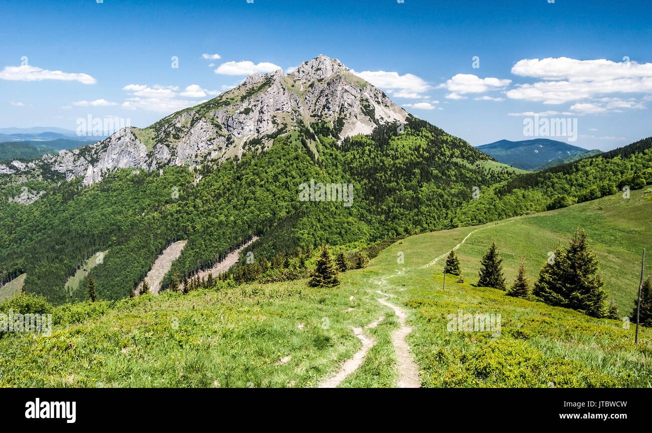 Stohove sedlo mit Bergwiese, vereinzelte Bäume und Wanderweg mit Rocky Velky Rozsutec Hügel in krivanska Mala Fatra Gebirge in der Slowakei Stockfoto